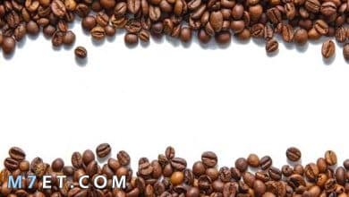 Photo of معلومات عن زراعة القهوة في مصر 