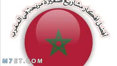 Photo of أكثر مشاريع مربحة في المغرب