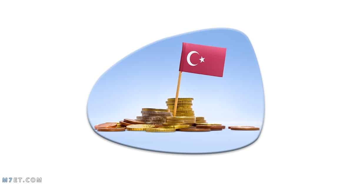 عيوب الاستثمار في تركيا