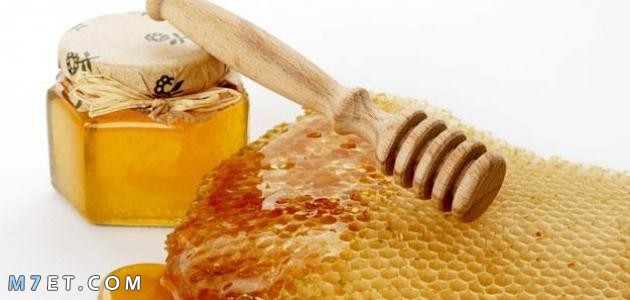 فوائد عسل السدر للشعر