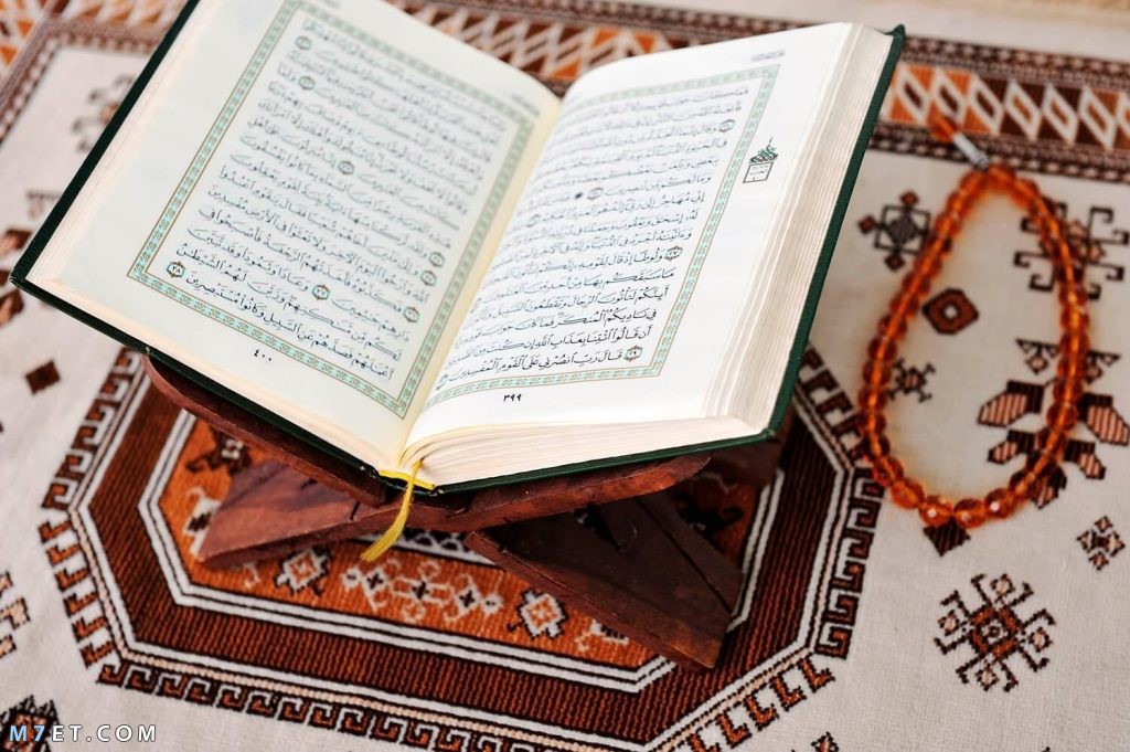 آيات قرآنية عن الوطن