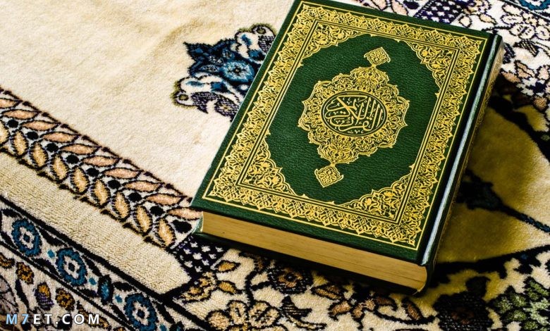 آيات قرآنية عن الوطن