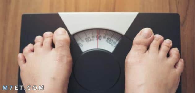 التسمين وزيادة الوزن