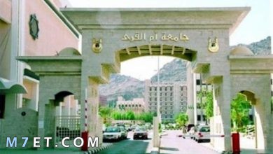 Photo of شروط القبول في كلية التمريض جامعة أم القرى 2023