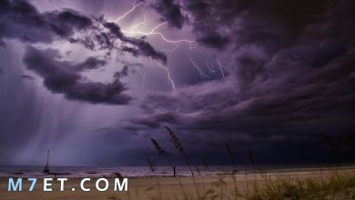 Photo of فوائد البرق | ما هو الفرق بين الرعد والبرق؟