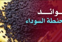 Photo of فوائد الحنطة السوداء للرجيم
