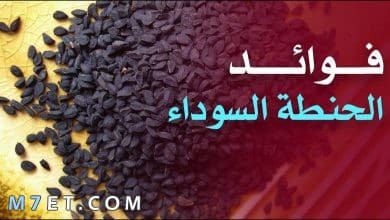 Photo of فوائد الحنطة السوداء للرجيم