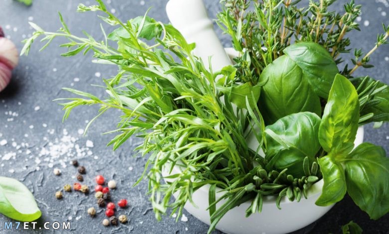 كيفية زيادة الوزن للرجال بالأعشاب