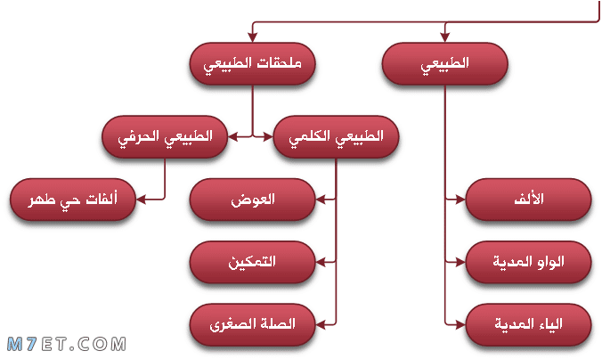 ما لا تعرفه عن المد الطبيعي