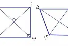 Photo of ما هو قانون محيط المربع ومساحته وما هي الصيغة الرياضية له