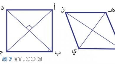 Photo of ما هو قانون محيط المربع ومساحته وما هي الصيغة الرياضية له