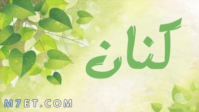 Photo of معنى اسم كنان في القرآن الكريم