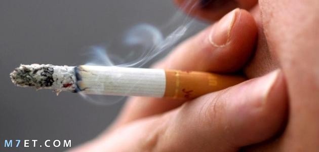 خطر التدخين | أهم موضوع عن التدخين وعن أضراره الجسيمة وكيفية الإقلاع عنه بالتفصيل