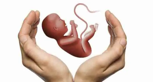 شكل الجنين إذا سقط في الشهر الأول