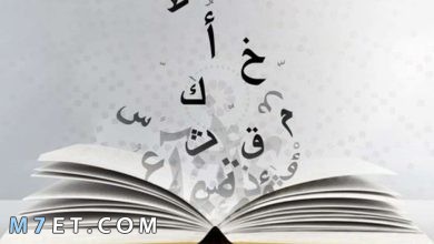 Photo of أجمل واروع أمثال عربية مميزة