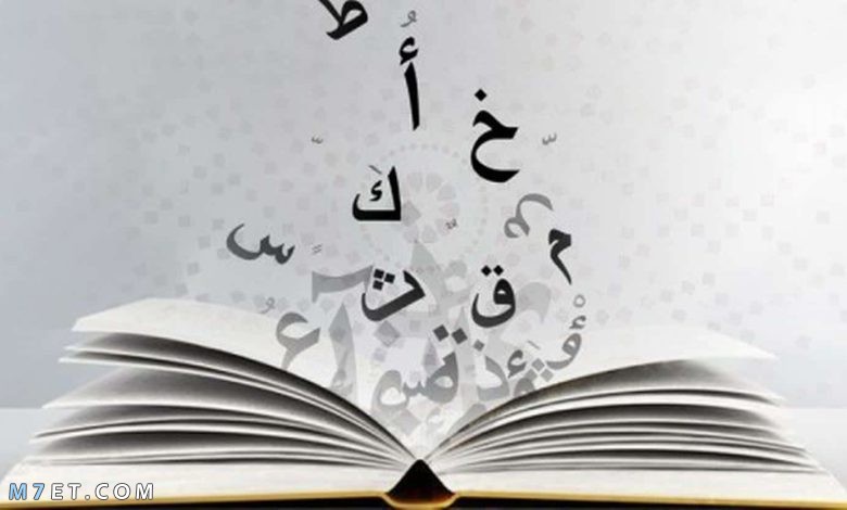 أمثال عربية
