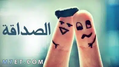 Photo of مقولات عن الصداقة