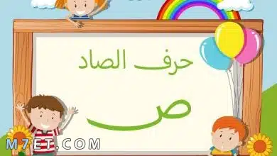 Photo of اسم حيوان بحرف ص