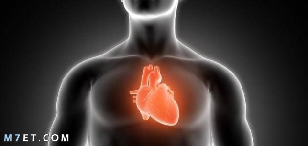 تعريف اللياقة القلبية التنفسية
