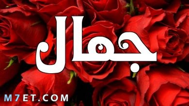 Photo of معنى اسم جمال في القرآن الكريم