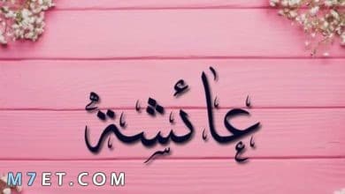 Photo of معنى اسم عائشة في القرآن الكريم وحكمه