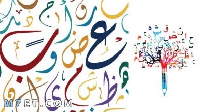 Photo of كلمات عربية جميلة