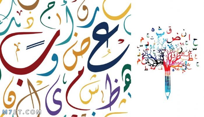 كلمات عربية جميلة