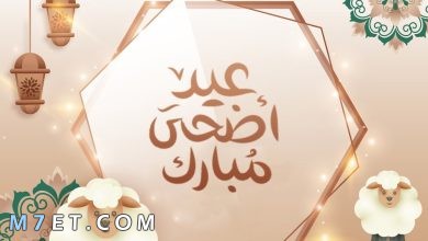 Photo of كلمات تهنئة عيد الاضحى
