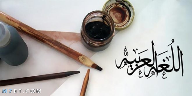كلمات عربية فصحى نادرة