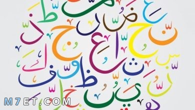 Photo of كلمات عربية فصحى عن الجمال