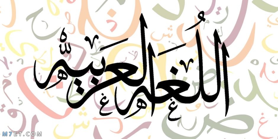 أقسام الكلمة في اللغة العربية
