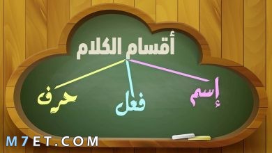 Photo of أقسام الكلمة في اللغة العربية