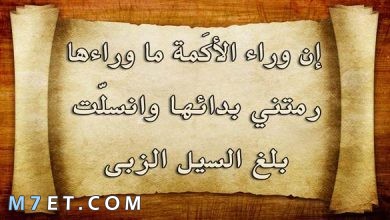 Photo of امثال عربية قوية