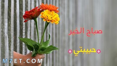 Photo of عبارات صباح الخير حبيبتي خواطر وعبارات مميزة جدا