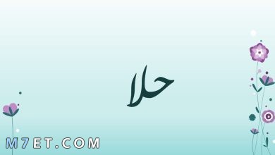 Photo of ما معني اسم حلا في القرآن الكريم وحكمه