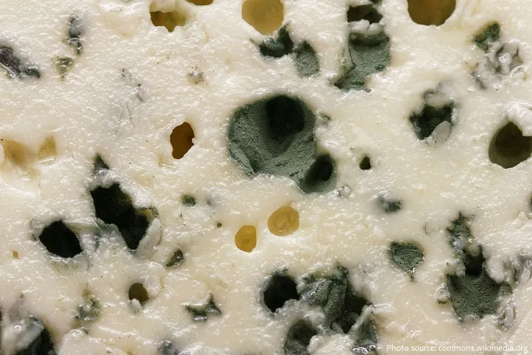 السعرات الحرارية في الجبنة الريكفورد