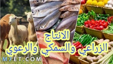 Photo of بحث شامل عن الإنتاج الزراعي والسمكي والرعوي في جمهورية مصر العربية