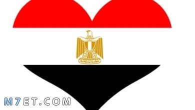 Photo of بحث شامل عن حب مصر والإنتماء لها وواجبنا نحوها