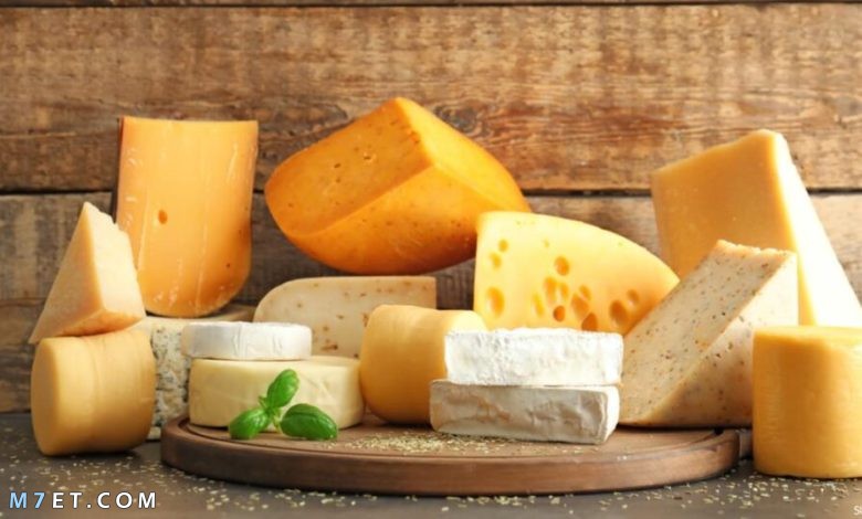 أنواع الجبن الشيدر في مصر