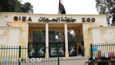 Photo of عنوان حديقة الحيوان بالجيزة وما هي الأنشطة المتوفرة بها