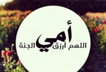 Photo of دعاء الله يرحمك يا امي ويجعل قبرك روضة من رياض الجنة