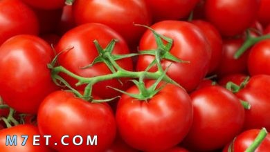 Photo of عدد السعرات في الطماطم