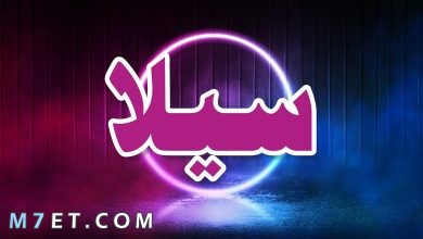 Photo of معنى اسم سيلا في الإسلام والسمات الشخصية لصاحبة الاسم