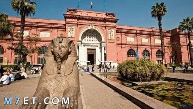 Photo of معالم مصر الحديثة