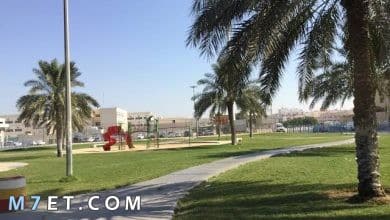 Photo of حديقة بدر جسر السويس