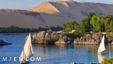 Photo of موضوع تعبير عن نهر النيل بالعناصر والمقدمة والخاتمة