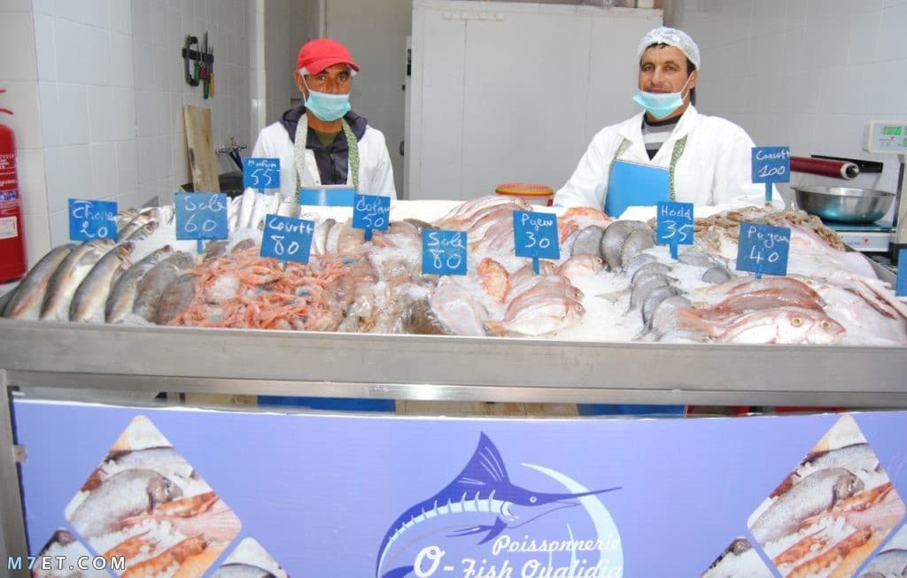 اماكن بيع السمك بالجملة في مصر