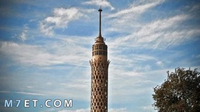 Photo of سعر دخول برج القاهرة ومواعيد العمل فى برج القاهرة 