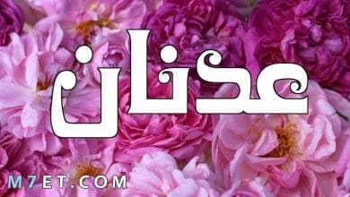 Photo of معنى اسم عدنان في القرآن الكريم وصفات حاملي الاسم