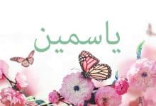 Photo of معنى اسم ياسمين في القرآن الكريم وحكمه